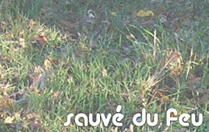 Sauvé du feu, tournage d'art
